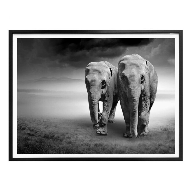 Poster Die Elefanten