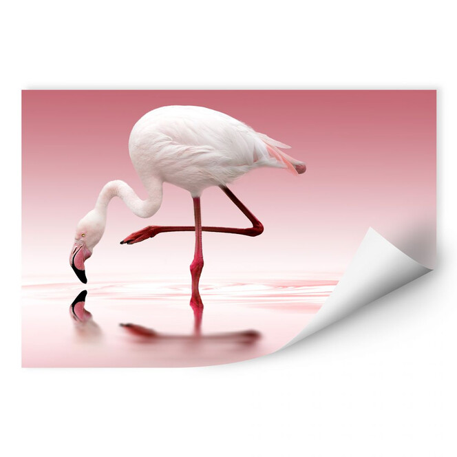 Wallprint Reindl - Pink Flamingo