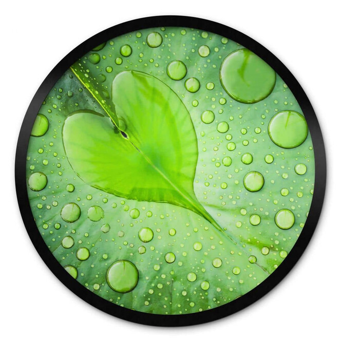 Poster Foto - Herz aus Wassertropfen auf grünem Blatt - Rund
