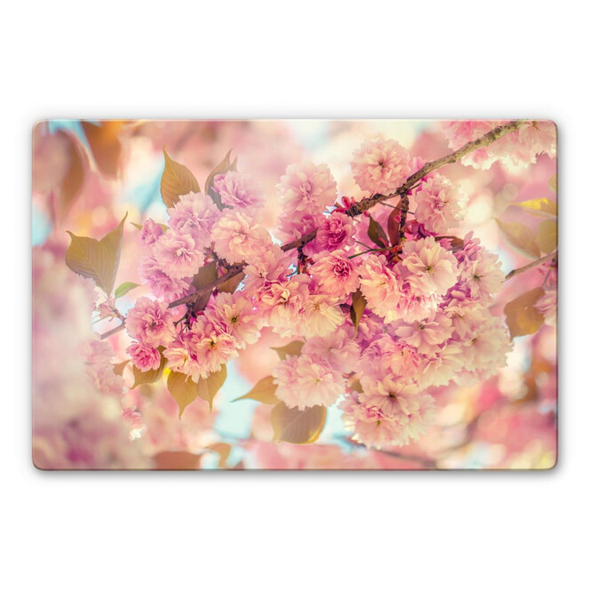 Glasbild Delgado - Kirschblüten