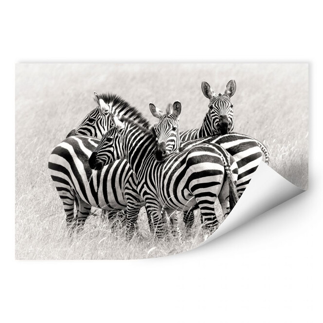 Wallprint Trubitsyn - Zebras in der Savanne