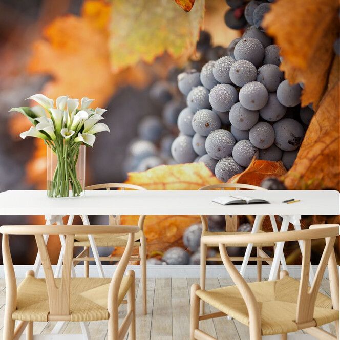 Fototapete Wein im Herbst - 336x260cm - Bild 1