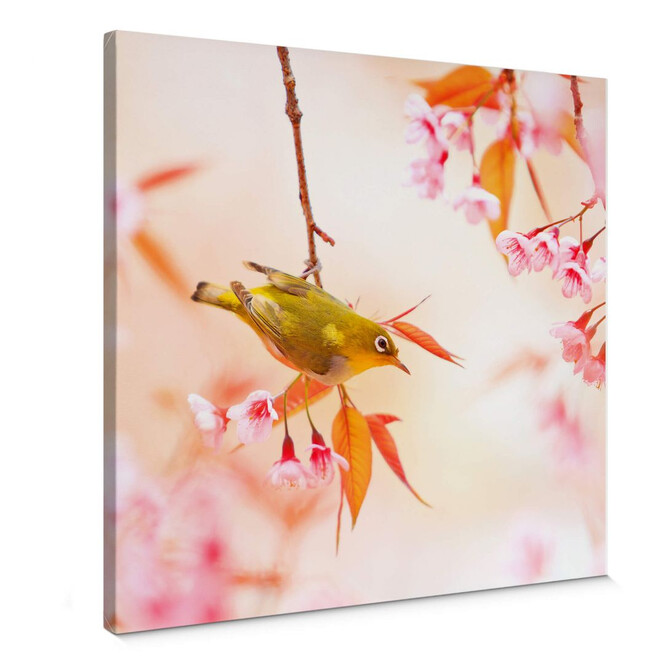 Leinwandbild Vogelgezwitscher in der Kirschblüte - quadratisch