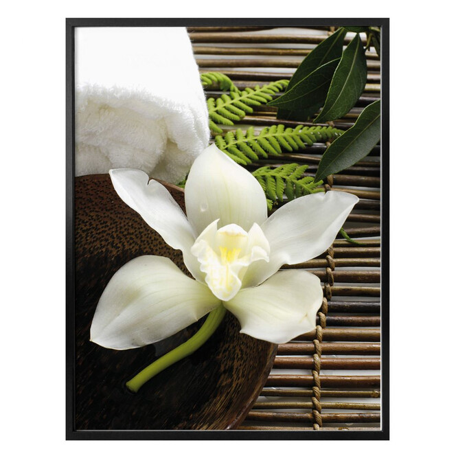 Poster Wellness Orchidee