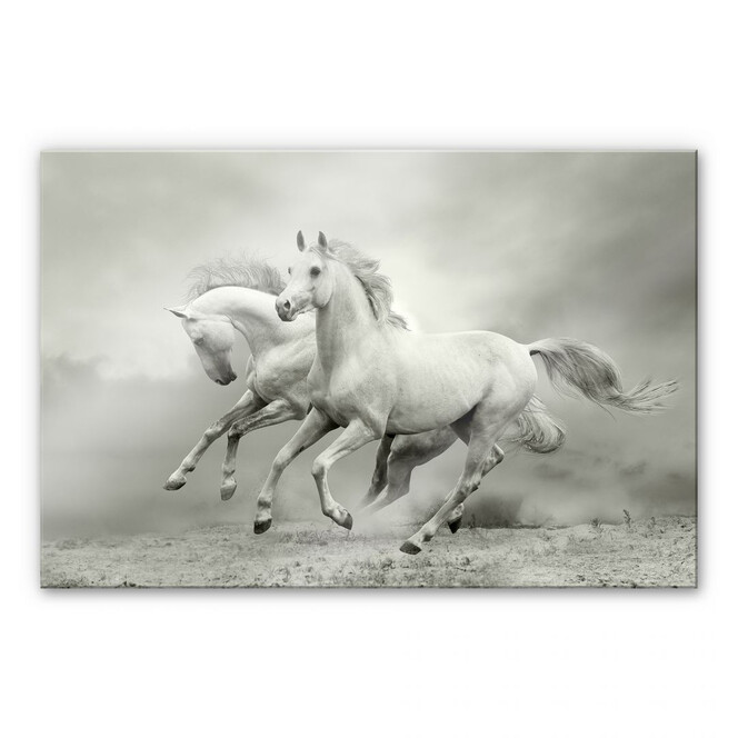 Acrylglasbild Pferde im Galopp