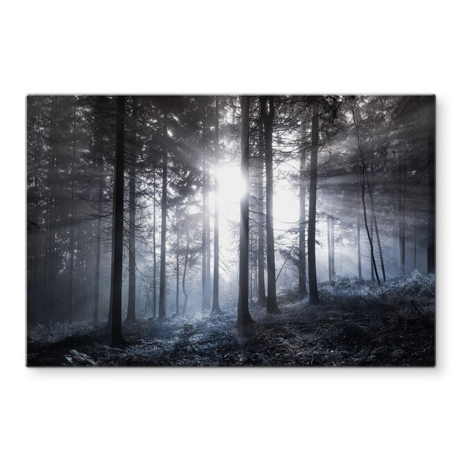 Glasbild Sonnenstrahlen im Wald Blau