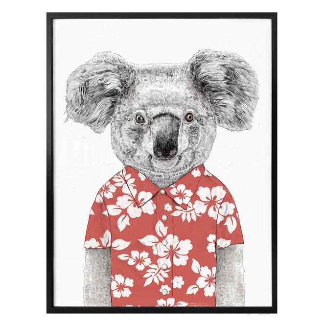 Poster Solti - Koala im Sommer