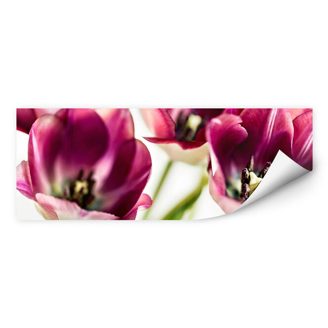 Wallprint Bsmart - Tulips