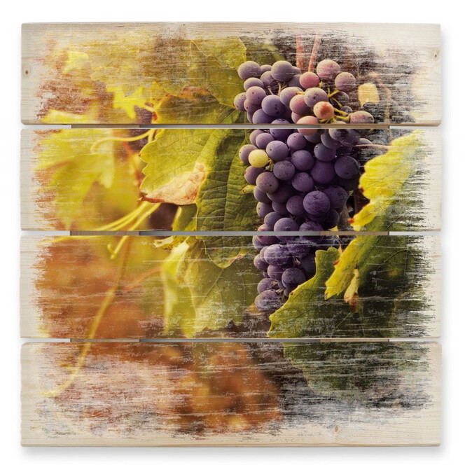 Holzbild Toskanische Weinrebe