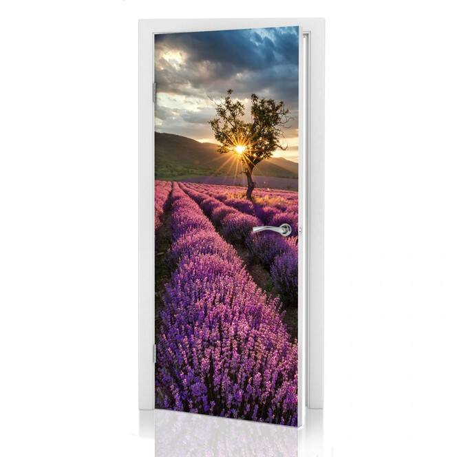 Türdeko Lavendelblüte in der Provence - Bild 1