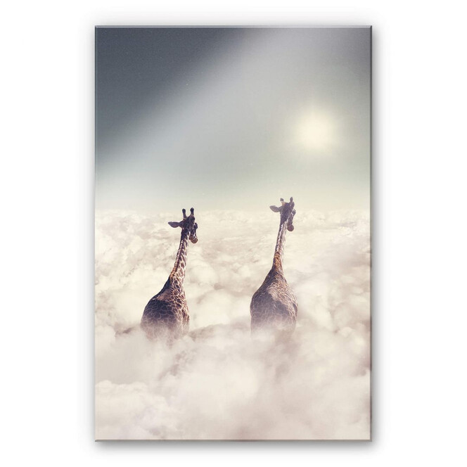Acrylglasbild Loose - Giant Giraffes