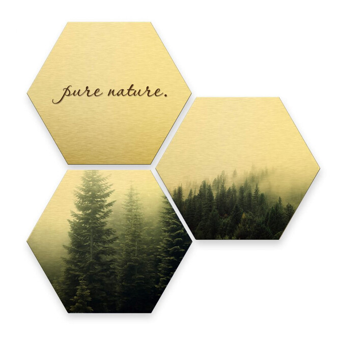 Hexagon - Alu-Dibond-Goldeffekt - Pure Nature Wald (3er Set)