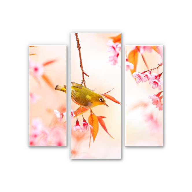 Wandbild Vogelgezwitscher in der Kirschblüte (3-teilig)