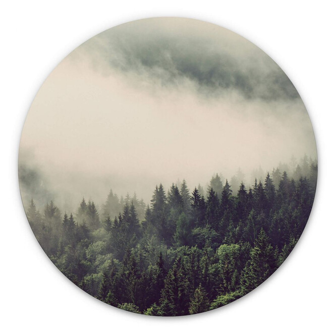 Alu-Dibond Nebel im Wald 02 - Rund