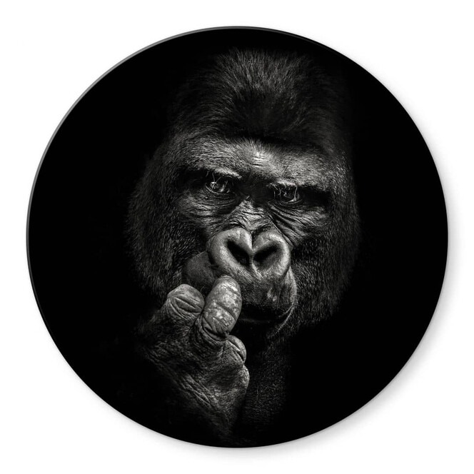 Glasbild Meermann - Der Gorilla - Rund