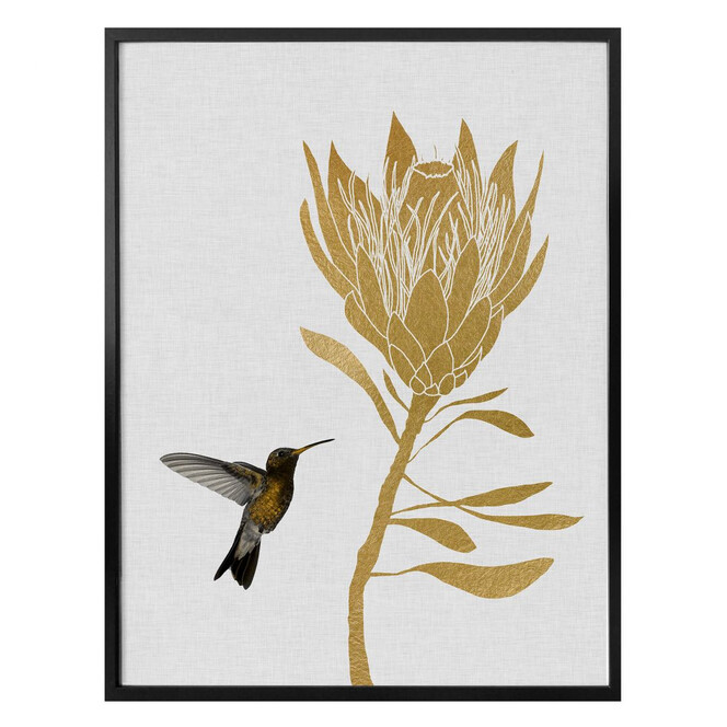 Poster Orara Studio - Hummingbird and Flower - goldene Blume