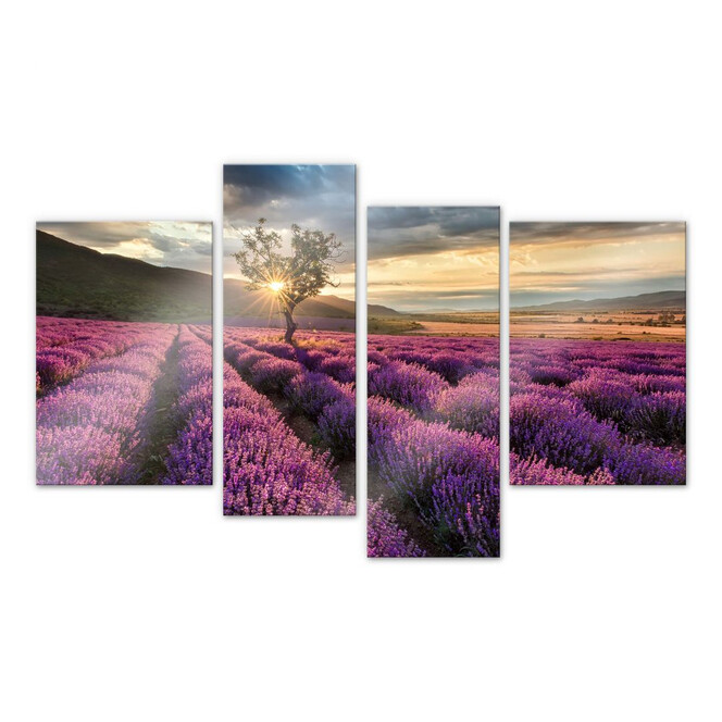 Acrylglasbild Lavendelblüte in der Provence 4-teilig - Bild 1