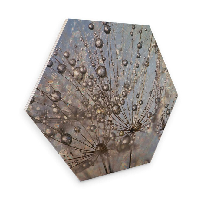 Hexagon - Holz Birke-Furnier Delgado - Wassertropfen in der Pusteblume