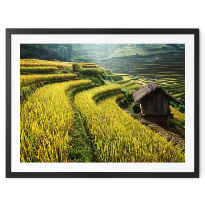 Poster Intarob - Reisfelder in Vietnam