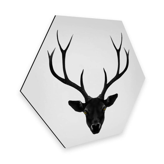 Hexagon - Alu-Dibond Ireland - The Black Deer