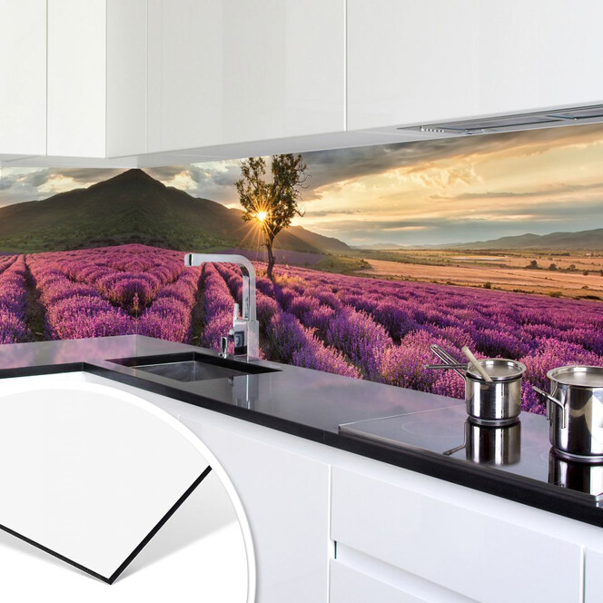 Küchenrückwand - Alu-Dibond - Lavendelblüte in der Provence