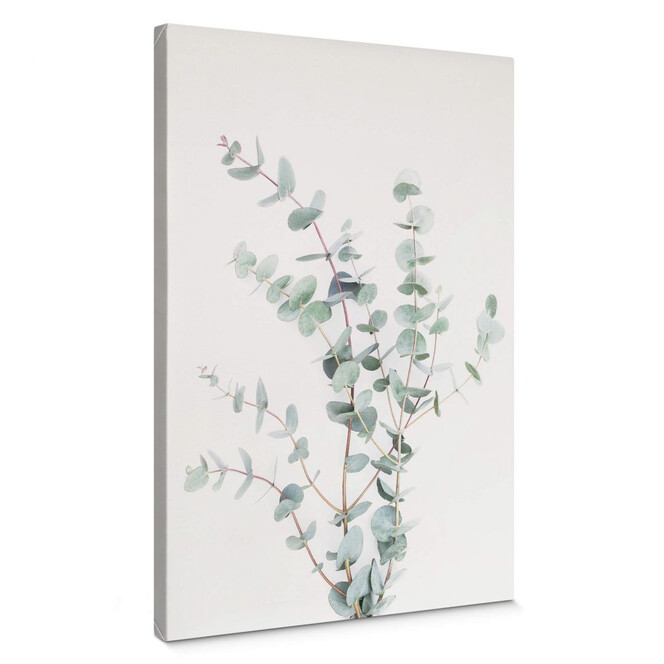 Leinwandbild Sisi & Seb - Eukalyptuszweig