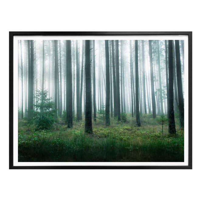 Poster Lindsten - Im Wald