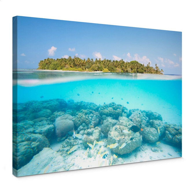 Leinwandbild Colombo - Unterwasserwelt der Malediven