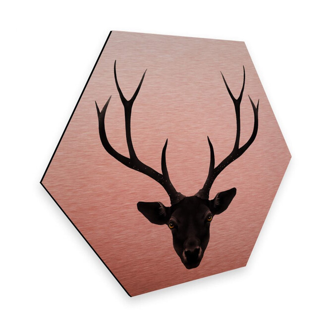 Hexagon - Alu-Dibond-Kupfereffekt - Ireland - The Black Deer