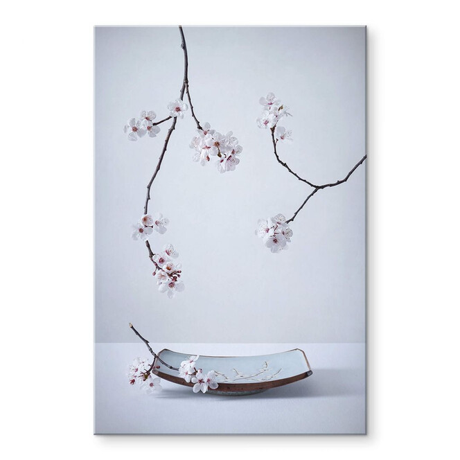 Acrylglasbild Karpova - Spa und Zakura - Frühling Stillleben Floral