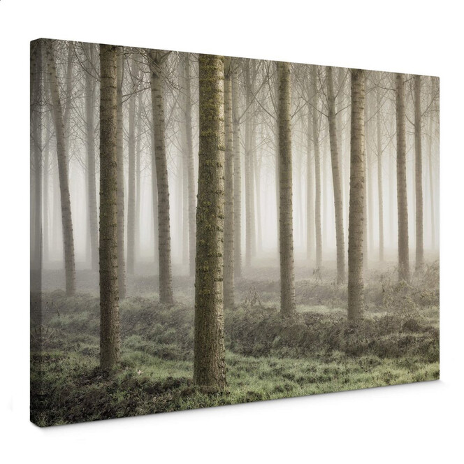 Leinwandbild Carozzi - Märchenhafter Wald im Morgennebel