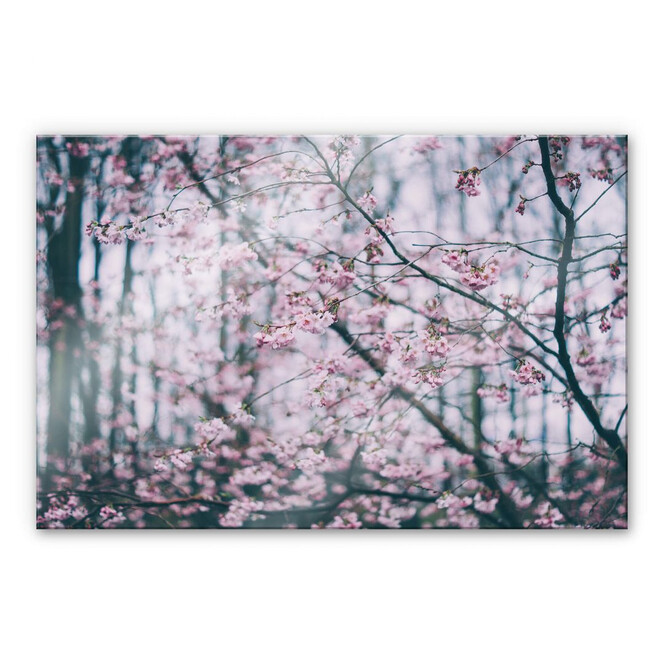Acrylglasbild Pink Flower Dream 03