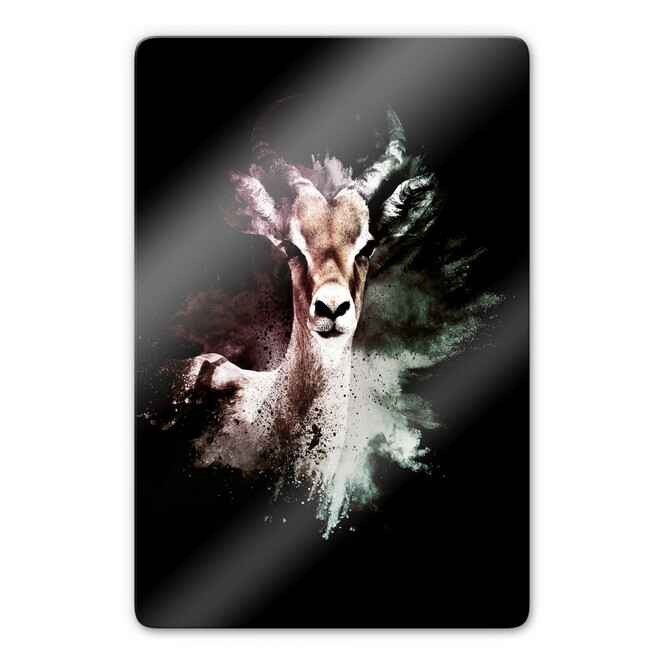 Glasbild Hugonnard - Wild Explosion: Antilope