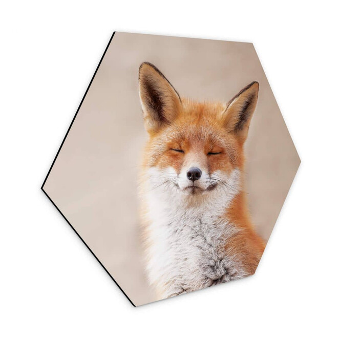 Hexagon - Alu-Dibond van Duijn - Zufriedener Fuchs