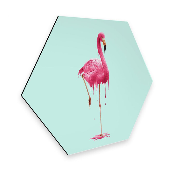 Hexagon - Alu-Dibond Loose - Melting Flamingo