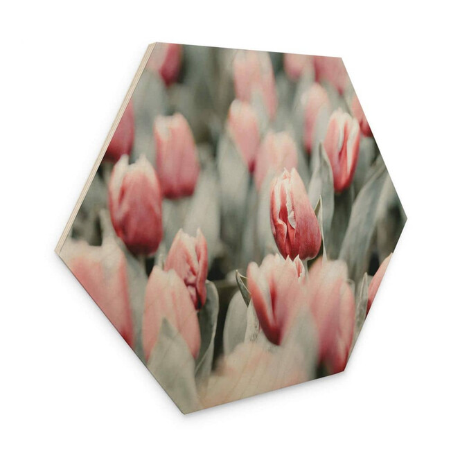 Hexagon - Holz Annie - Frühlingstulpen