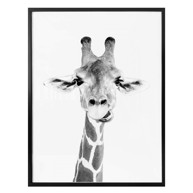 Poster Sisi & Seb - Happy Giraffe