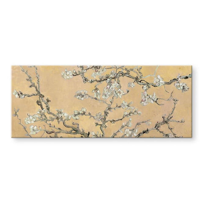 Acrylglasbild van Gogh - Mandelblüte Creme - Panorama