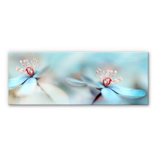 Acrylglasbild Westum - Zarte Blüten