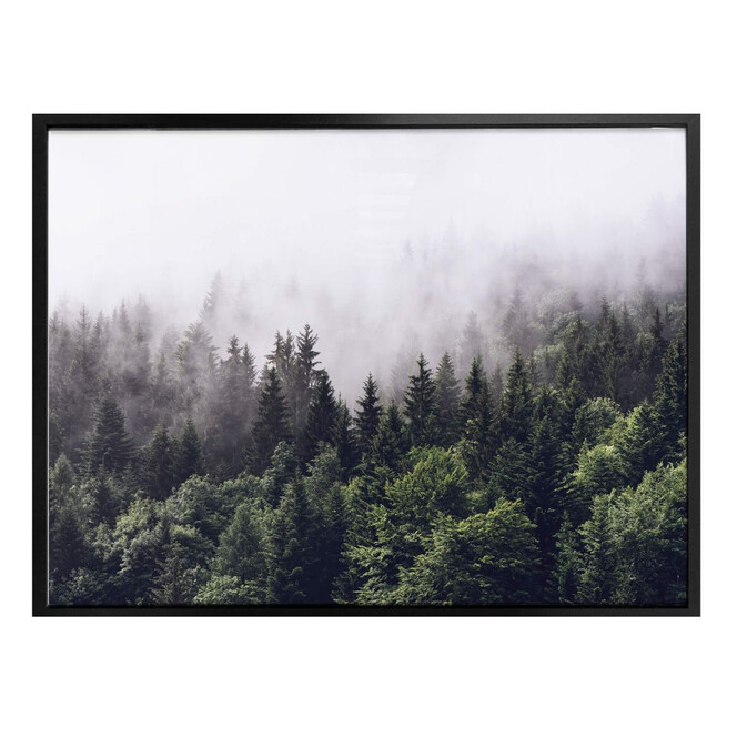 Poster Nebliger Wald