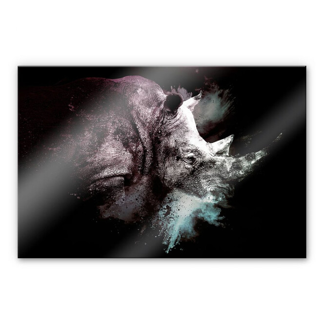 Acrylglasbild Hugonnard - Wild Explosion: Nashorn