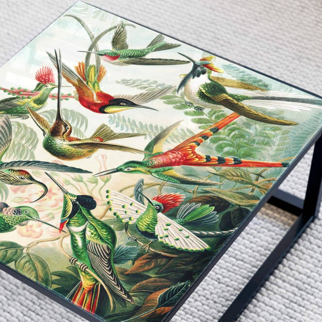 Tischplatte aus Glas - Haeckel - Kolibris - Quadratisch - 60x60cm - Bild 1