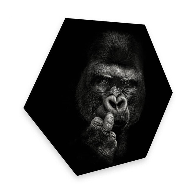 Hexagon - Alu-Dibond Meermann - Der Gorilla