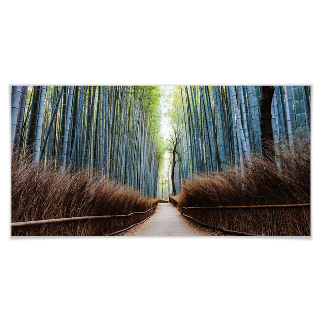 Poster Colombo - Die Bambushöhle in Japan - Panorama