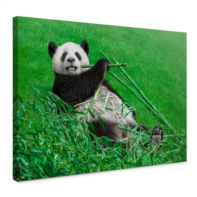 Leinwandbild Ben Heine - Glücklicher Panda