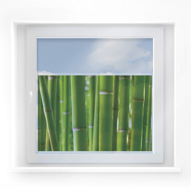 Fensterbild Bambuswald