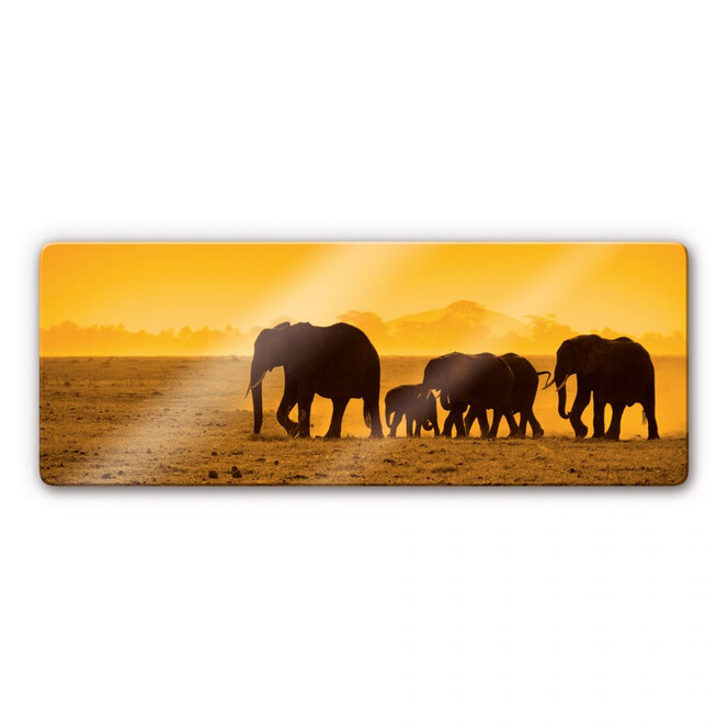 Glasbild Elefantensilhouetten Panorama