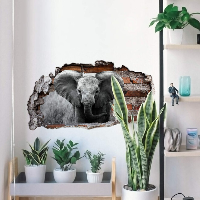 3D Wandtattoo Jumbo der kleine Elefant