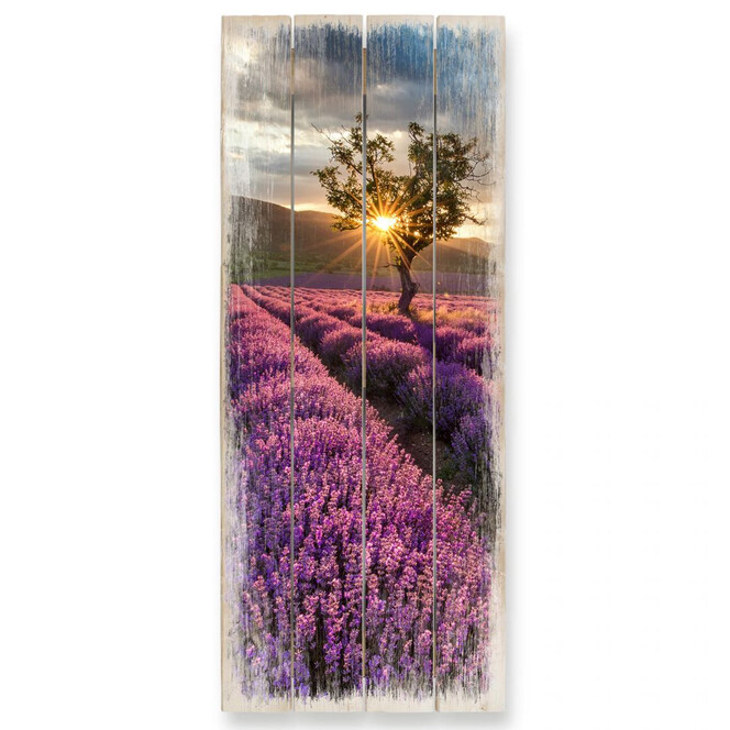 Holzbild Lavendelblüte in der Provence 02 - Panorama - Bild 1