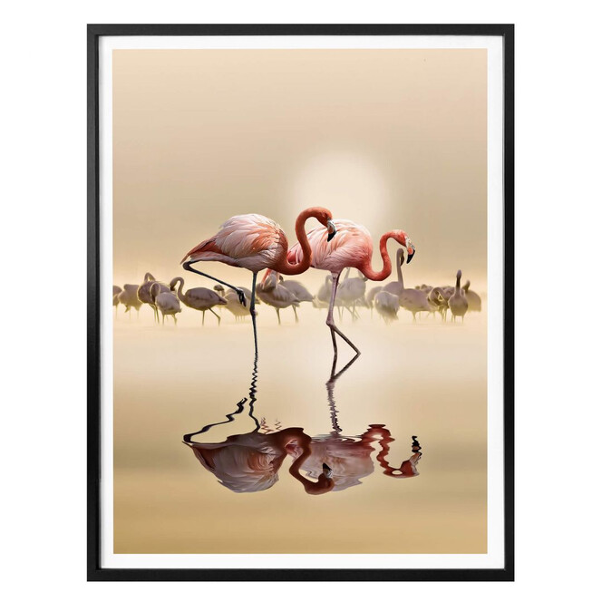 Poster Osman - Flamingo